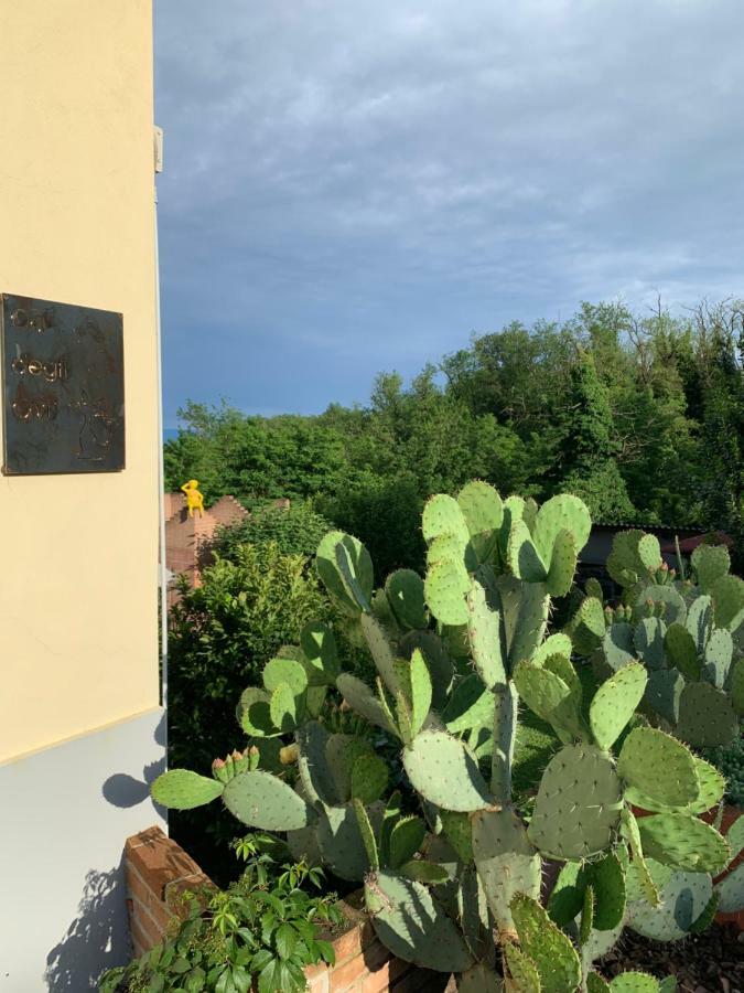 Ca' Degli Ovi B&B 瓦伦扎 外观 照片